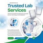 Thefairlab Profile Picture