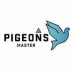 Pigeon Master Profile Picture
