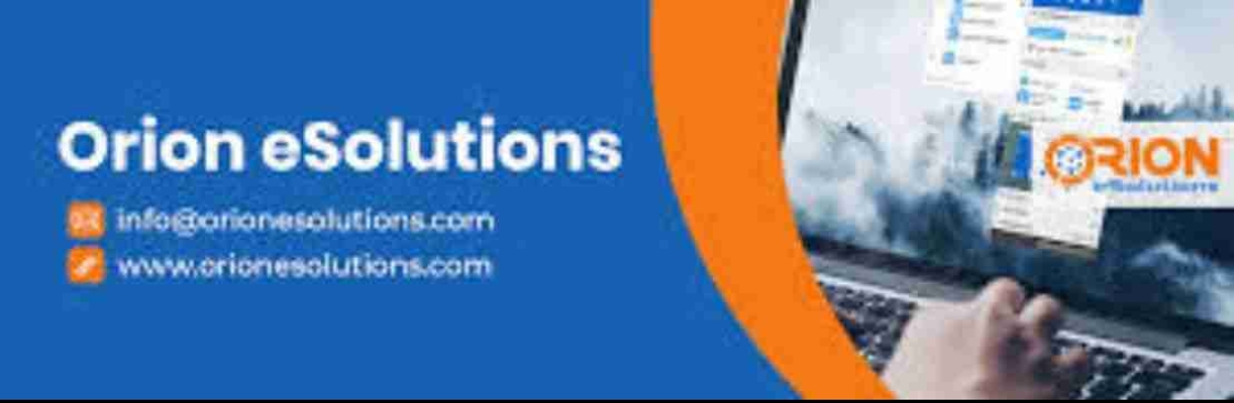 Orion eSolutions Cover Image