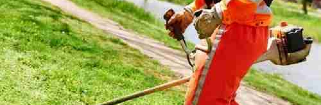 Immaculate tree felling Cover Image