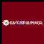illuminatipower Profile Picture
