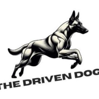 Working Dog Training