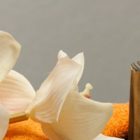 Spa Turks and Caicos: Rejuvenate on Caribbean Shores