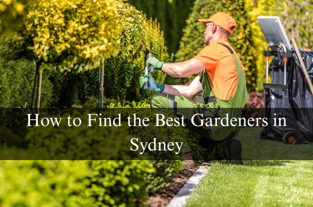How to Find the Best Gardeners in Sydney