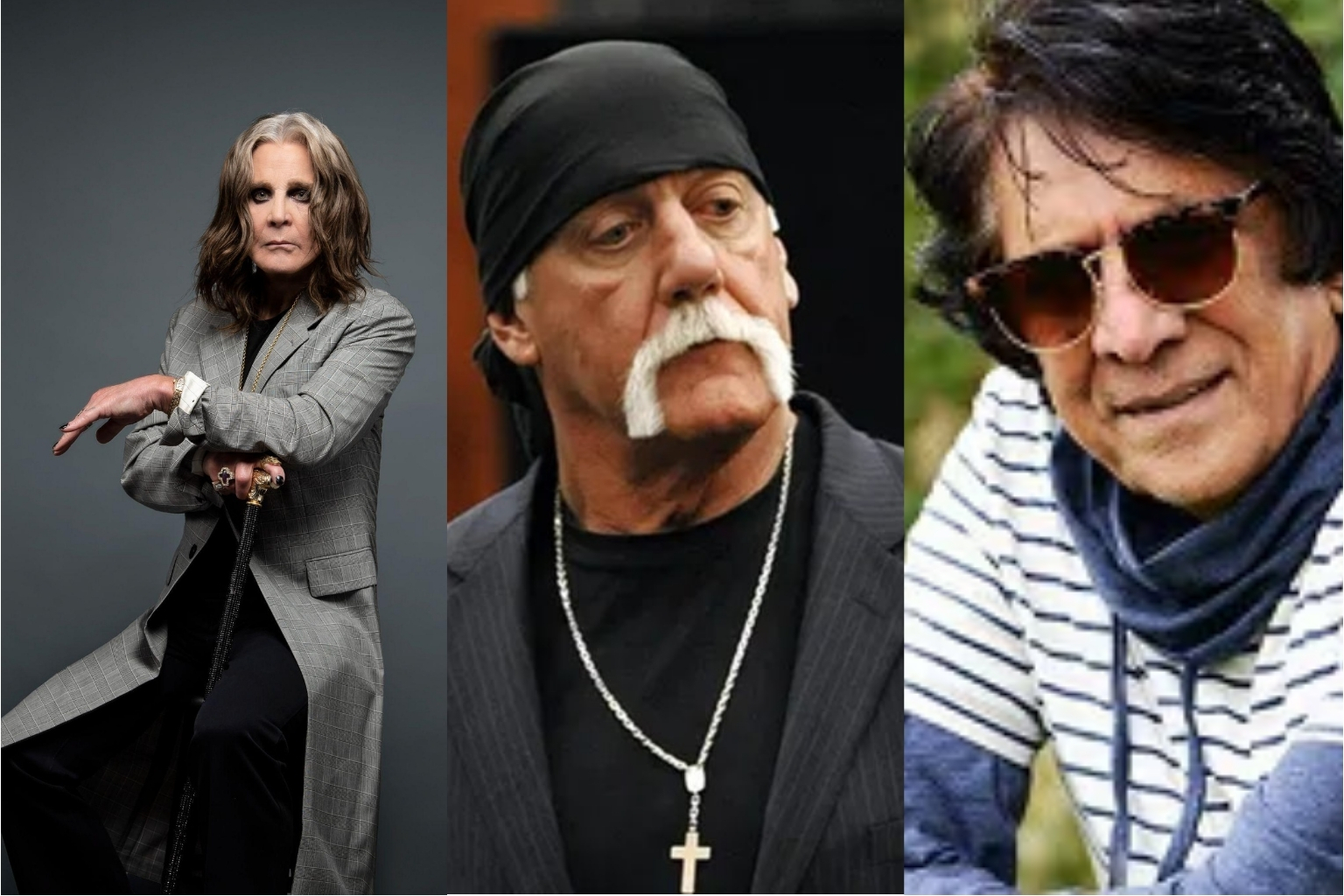 Famous People Who Died This Week: Tributes to Ozzy, Hulk Hogan & Chandra Barot - articlebasket.com