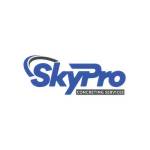 Skypro Concreting Service Profile Picture