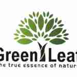 greenleafoil Profile Picture