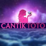 cantiktoto Profile Picture