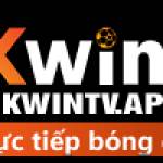 OKWIN TV Profile Picture