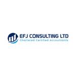EFJ Consulting Profile Picture
