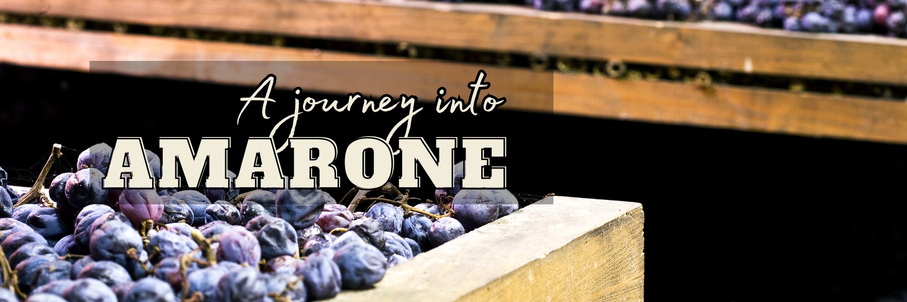Amarone Wine