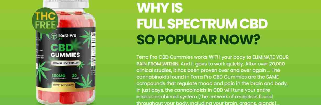 Rollanmarcoe Cover Image