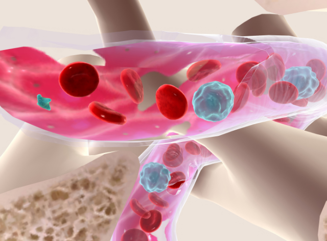 Comprehensive Guide to Bone Marrow Transplants in India