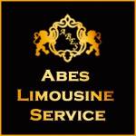 Abe's Limousine Service Luxury Limo & Black Car Serv Profile Picture