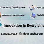 Vigorous IT Solutions Profile Picture