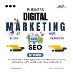Compare SEO Profile Picture