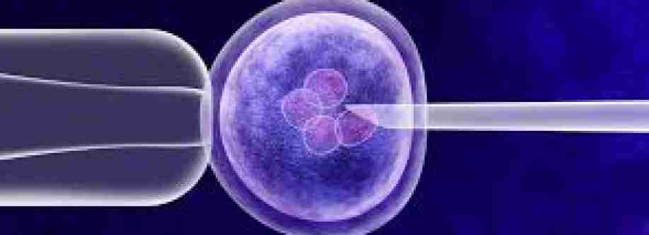 Dr Anjali Chaudhary Cover Image