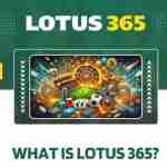 lotus 365 download Profile Picture