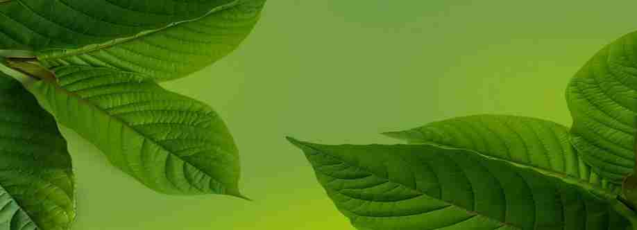 PA Botanicals Cover Image