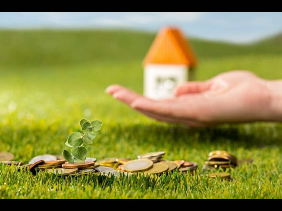 Unlocking Opportunity with Land Loans: A Guide with the aid of SouthStar Bank – Serenity Leaf