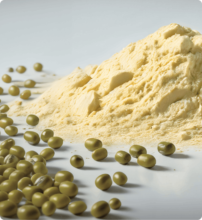 Plant-Based Egg Manufacturing: Revolutionizing the Food Industry