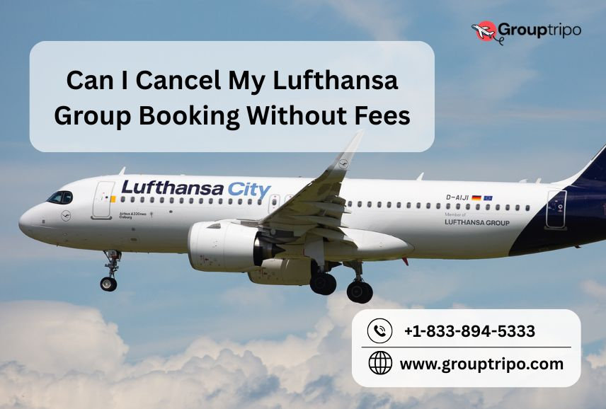 Can I Cancel My Lufthansa Group Booking Without Fees?