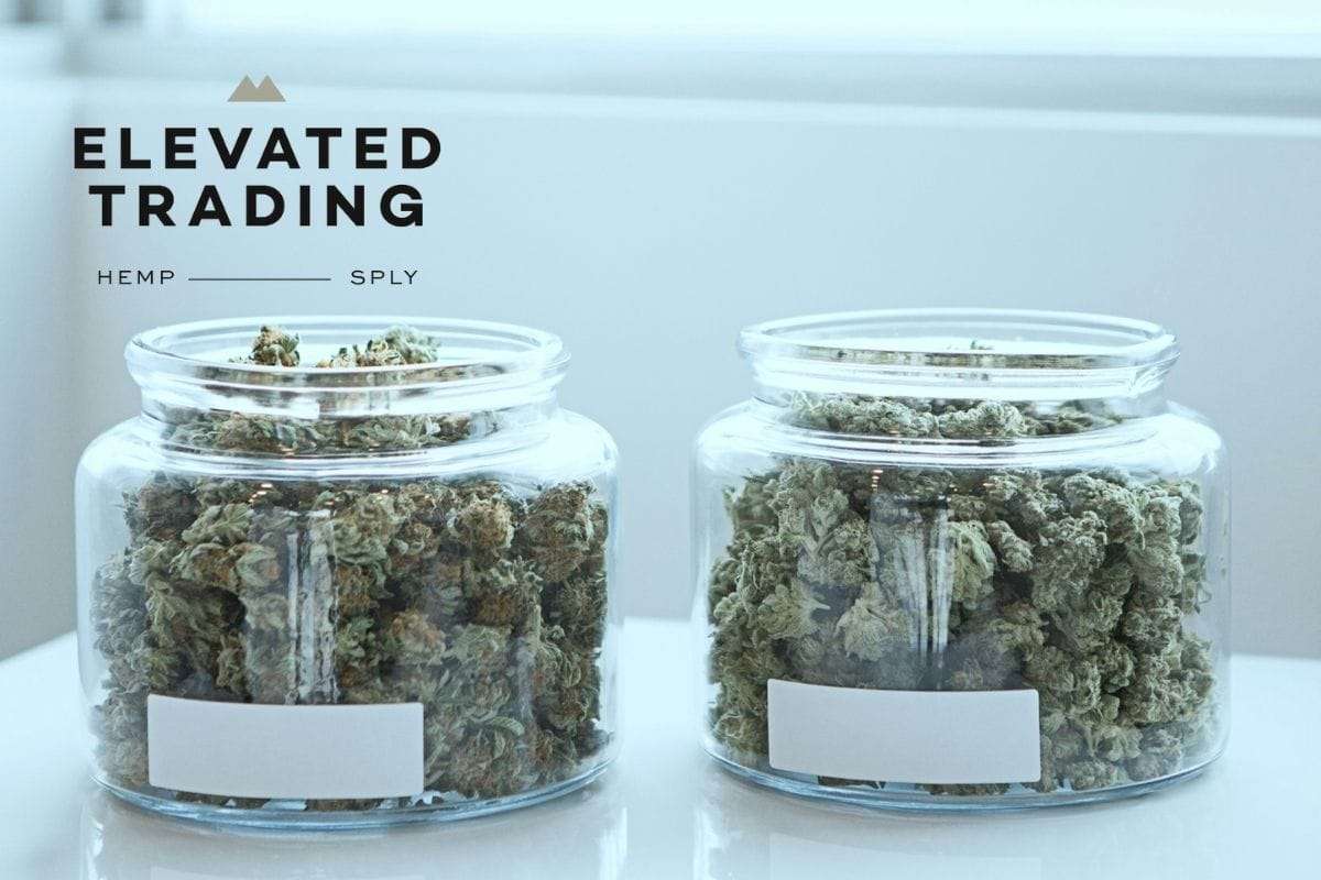 How to Store THCA Flower: The Secret to Success  | Elevated Trading