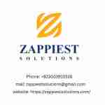 zappiest solutions Profile Picture