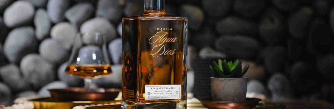 Agua Adios Cover Image