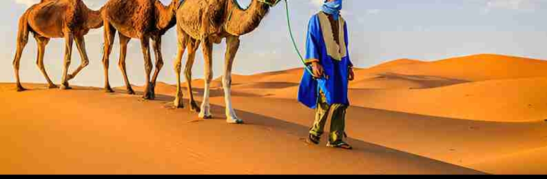 Private Morocco Tours Cover Image