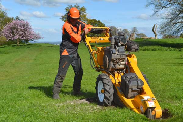 Expert Tree Surgeon & Stump Removal in Woking