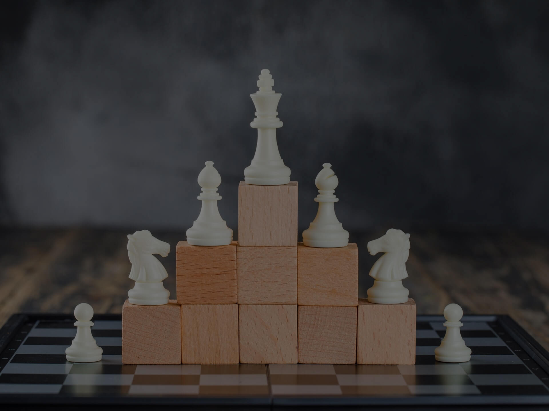 Business Consultancy in Qatar | Full Ownership & Strategic Support | Proviiz