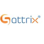 Sattrix Information Security Incorporation Profile Picture