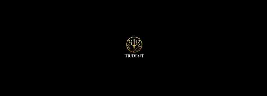 Trident Professional Cleaning Services Cover Image