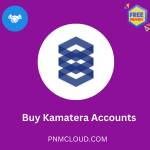 Kamatera Accounts Profile Picture