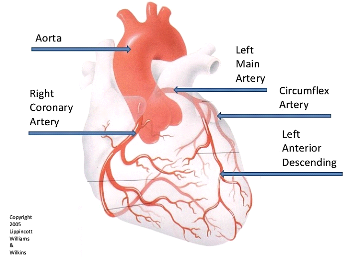 Cardiologist for Coronary Angiography in Lucknow