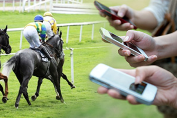 A Simple and Easy Guide to Betting on Horse Racing