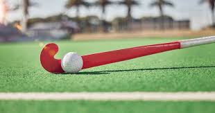 Artificial Hockey Turf: Making the Game Better – Site Title