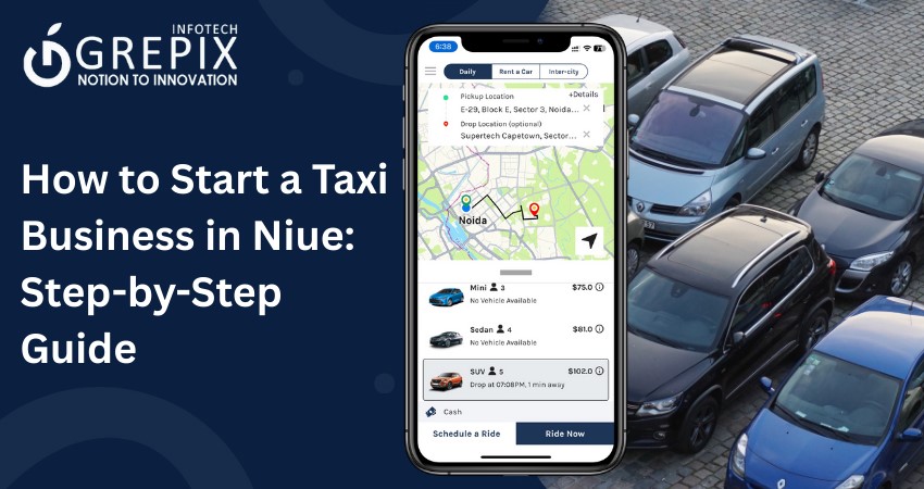 How to Start a Taxi Business in Niue: Step-by-Step Guide