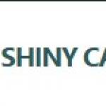 shiny Cabinets Profile Picture