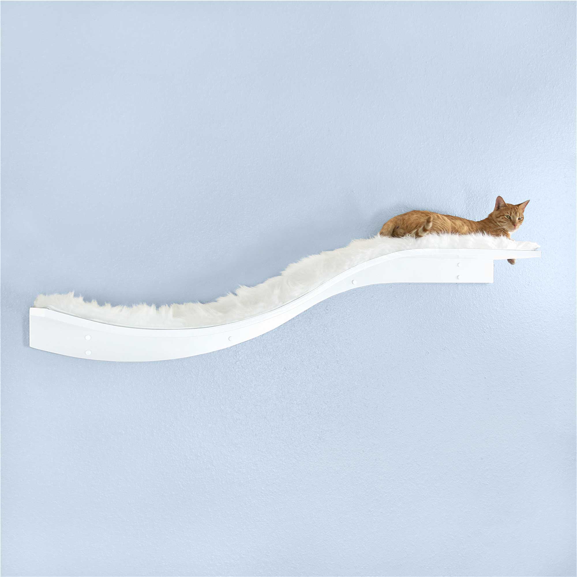 Cat Wall Shelves & Perches - The Refined Feline