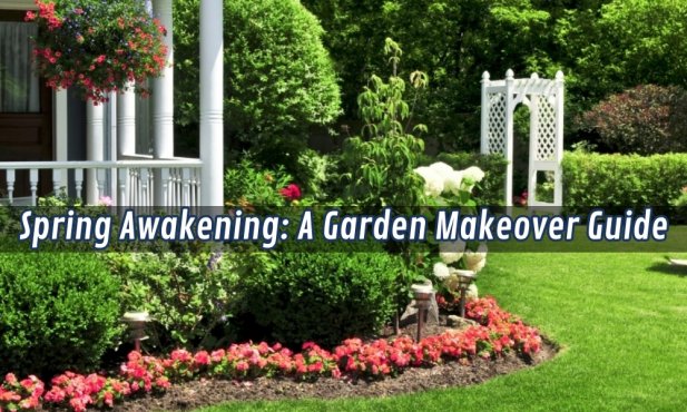 Spring Awakening: A Garden Makeover Guide Article - ArticleTed -  News and Articles