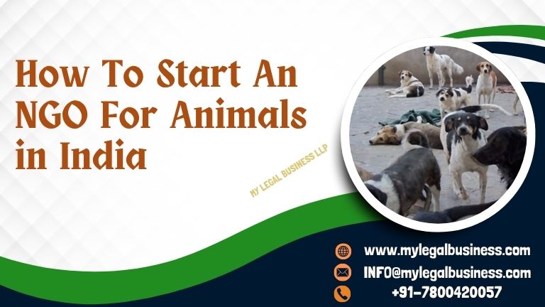 How to Start an NGO For Animals in India
