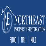 Northeast Restore Profile Picture