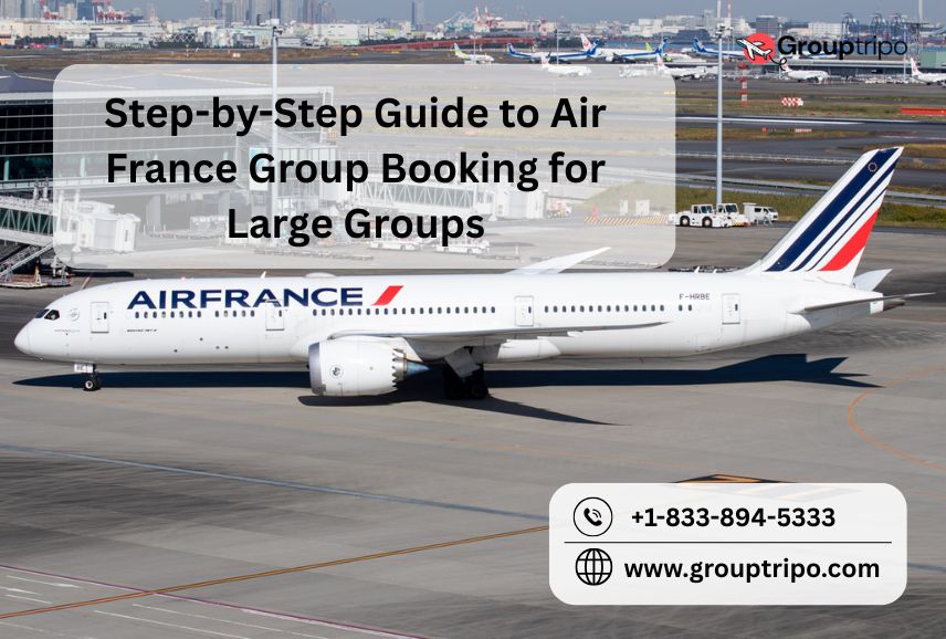 Step-by-Step Guide to Air France Group Booking for Large Groups - Relxnn