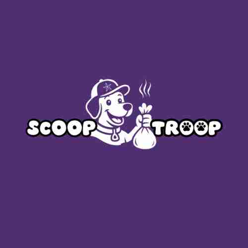 Scoop Troop Profile Picture