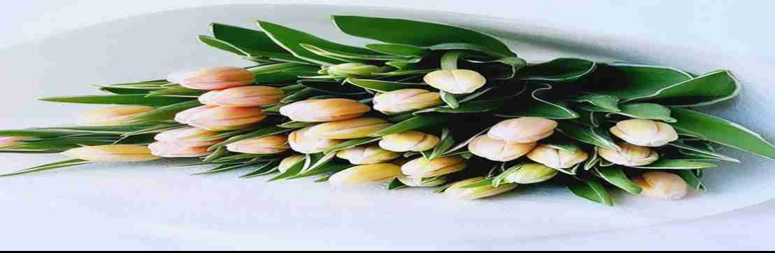 Blossom By Daisy Cover Image