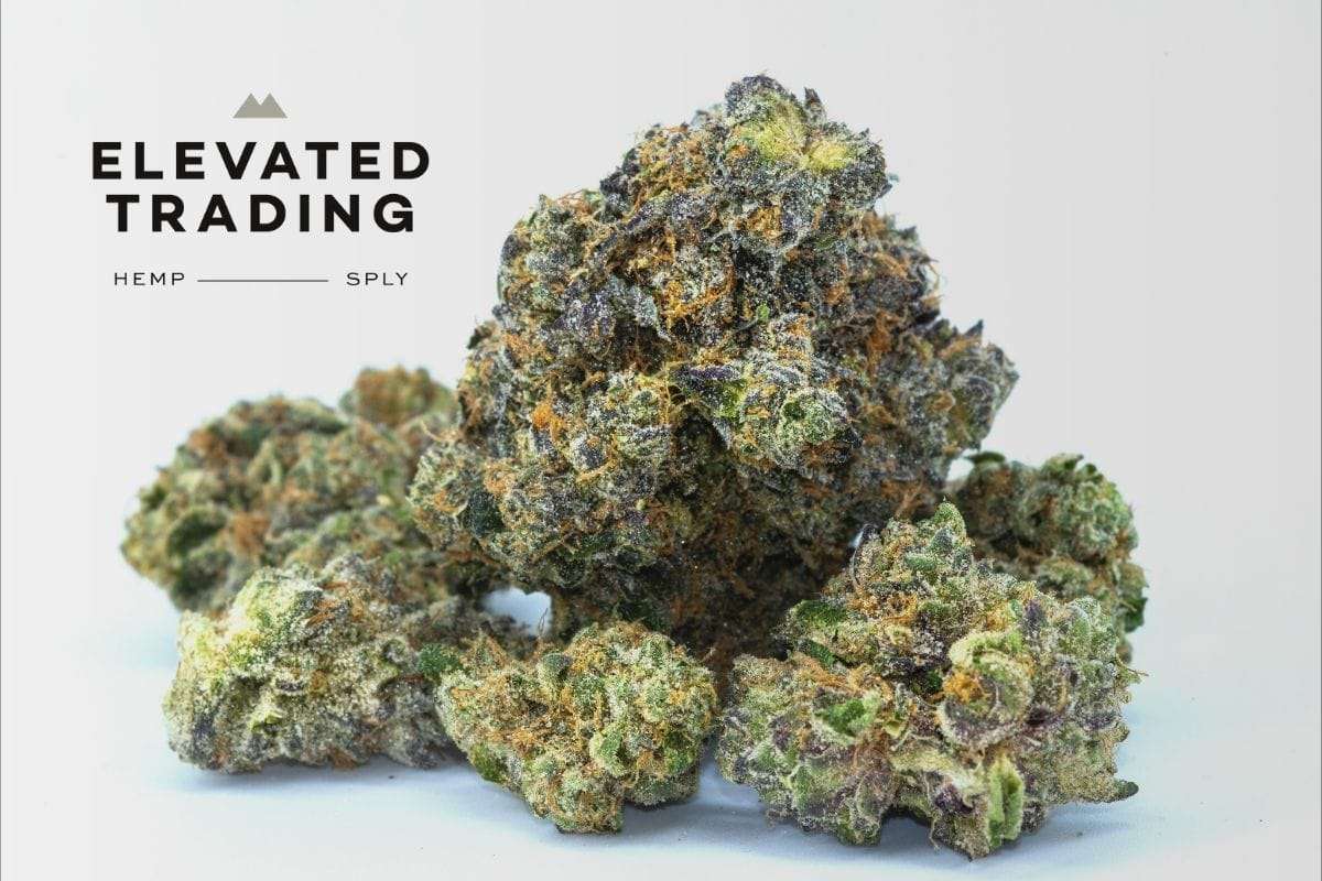 How Hemp Wholesale Distribution Works: Masterclass - Elevated Trading