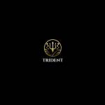 Trident Professional Cleaning Services Profile Picture