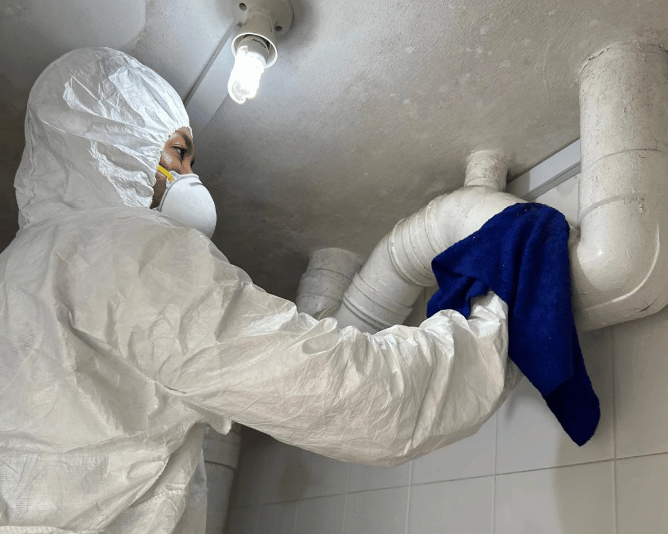 Mould Cleaning - Aardwolf Pestkare!